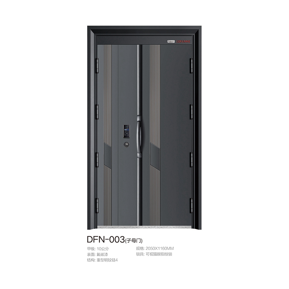 入户门系列DFN-003(子母门)