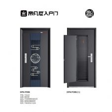 入户门系列DFN-F091